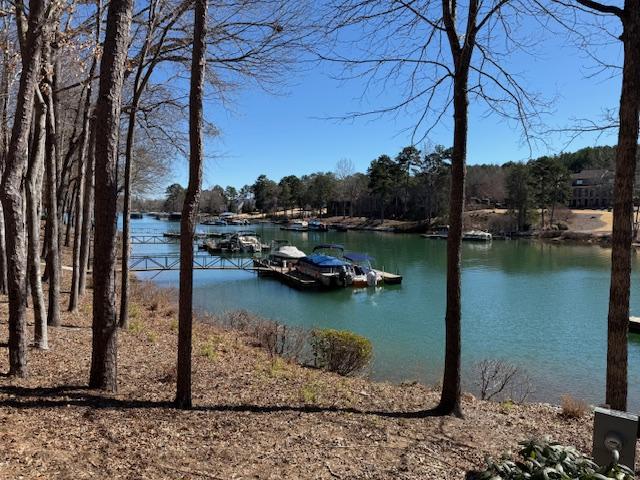 water view featuring a boat dock