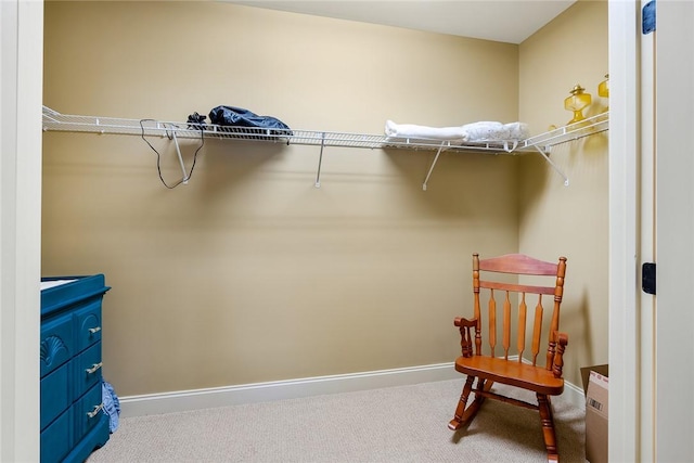 spacious closet with carpet floors