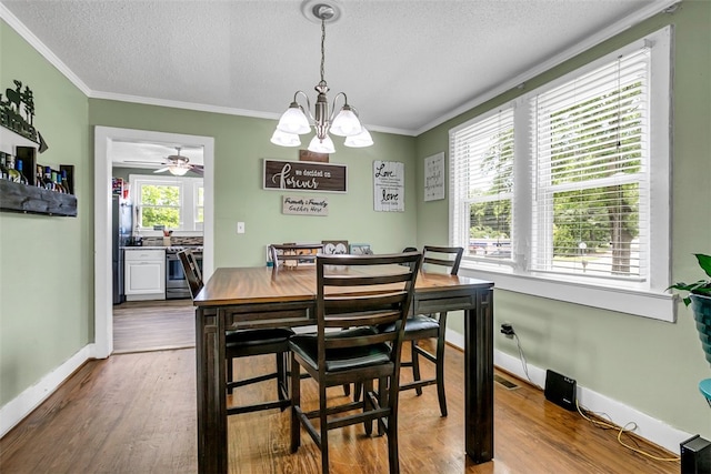 dining room featuring dark wood-style floors, a wealth of natural light, crown molding, and a textured ceiling