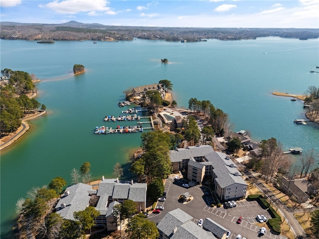 495TALLSHIP240 Tall Ship Dr, Salem, SC 29676 - bird's eye view of a large body of water