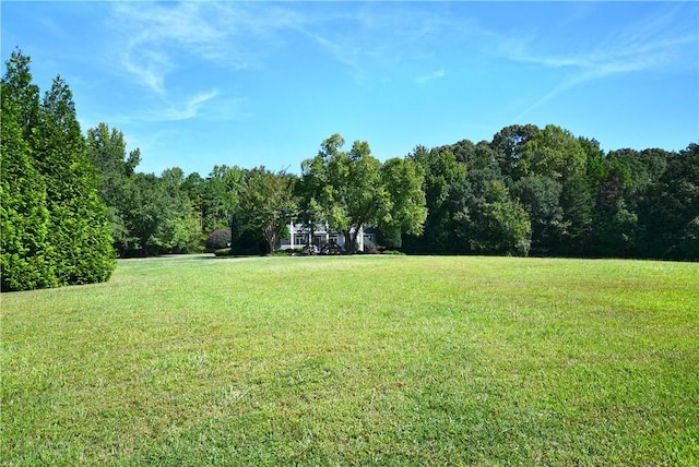 view of yard featuring a view of trees