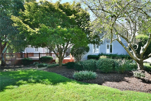 view of yard with a wooden deck