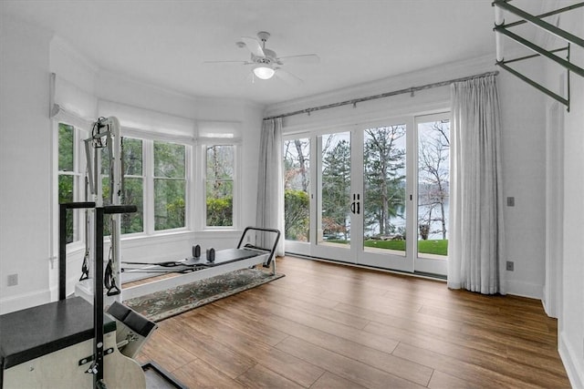 509 Merganser Way, Salem, SC 29676