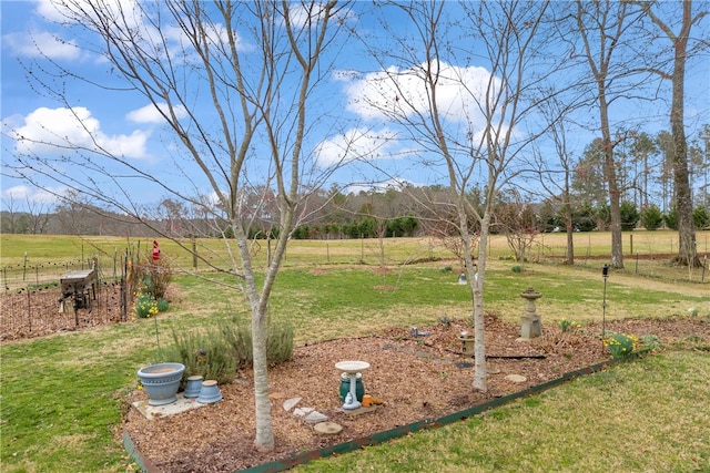 view of yard featuring a rural view