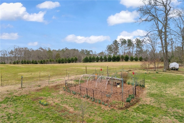 view of yard featuring a garden and a rural view