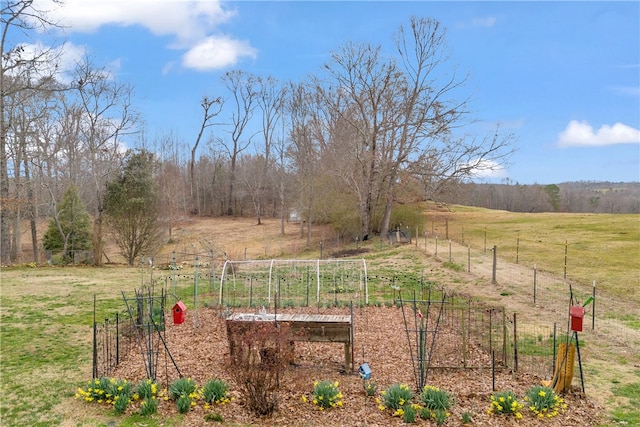 view of yard featuring a rural view, fence, and a garden