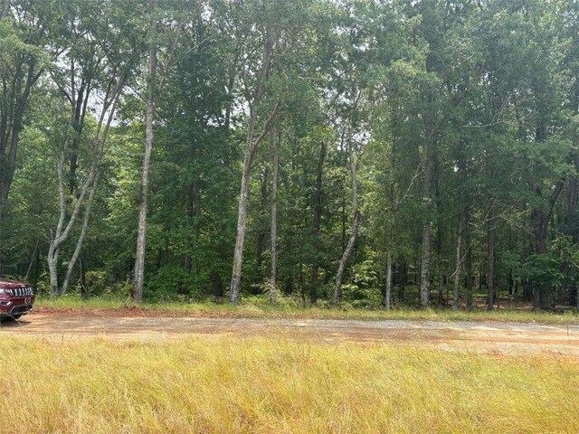 195 Clinkscales Rd, Anderson, SC 29624 - view of wooded area
