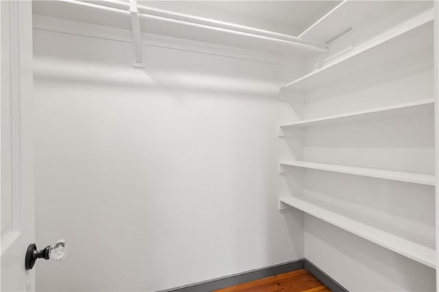 spacious closet featuring dark wood-style floors