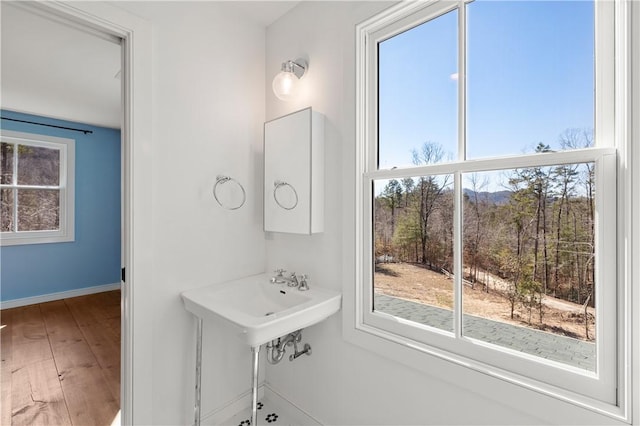 bathroom with baseboards, a sink, wood finished floors, and a healthy amount of sunlight