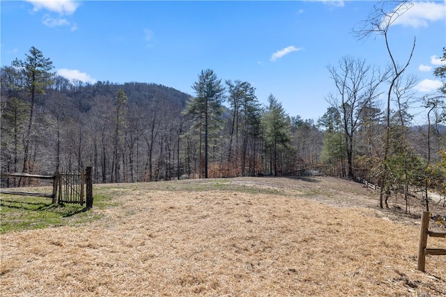 view of yard with a wooded view