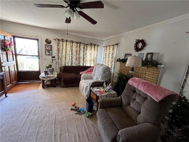 303 Corning St, Anderson, SC 29624 - carpeted living room with a textured ceiling, a ceiling fan, and crown molding