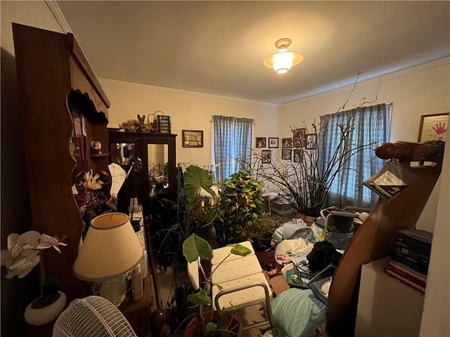 303 Corning St, Anderson, SC 29624 - miscellaneous room featuring crown molding