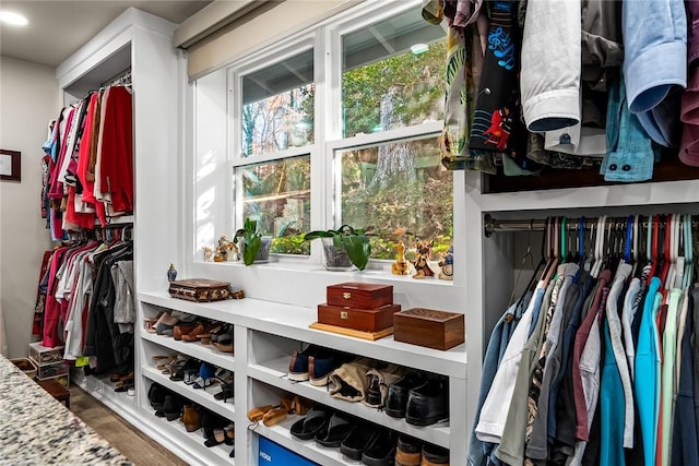 spacious closet featuring wood finished floors