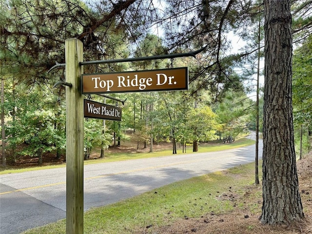 310 Top Ridge Dr, Sunset SC, 29685 land for sale