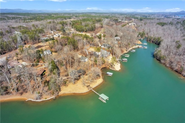 birds eye view of property with a water view and a forest view