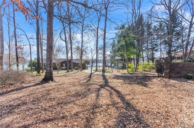 view of yard featuring a gate and fence