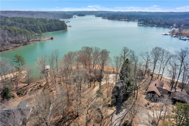 birds eye view of property featuring a water view and a view of trees