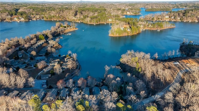 bird's eye view featuring a water view and a forest view