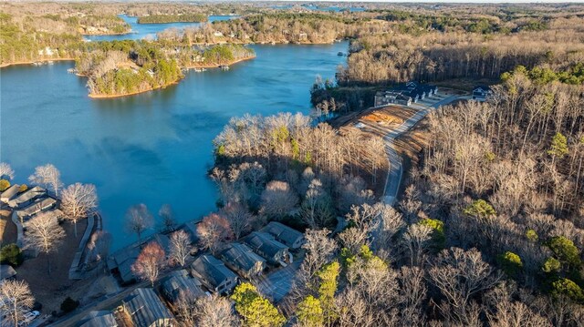 birds eye view of property with a forest view and a water view