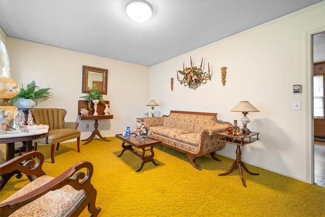 living room featuring carpet