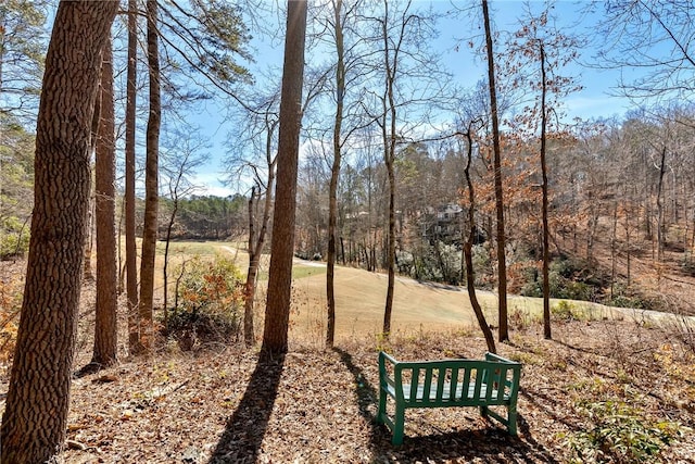 view of community with a forest view