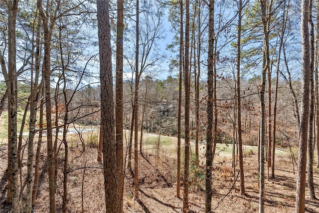 view of landscape with a forest view