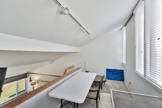 home office featuring carpet floors, track lighting, baseboards, and a textured ceiling