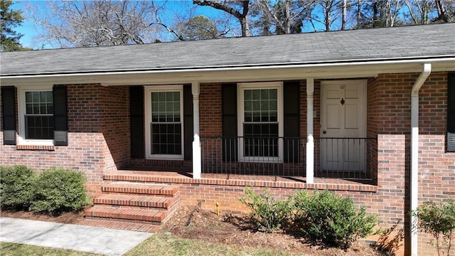 doorway to property with covered porch, brick siding, and a shingled roof