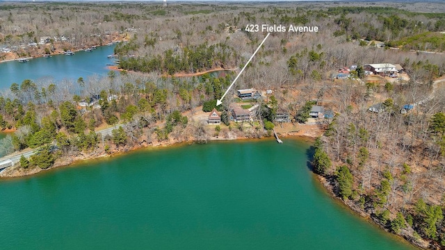 drone / aerial view featuring a water view and a view of trees