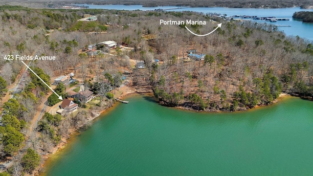 aerial view with a water view and a view of trees