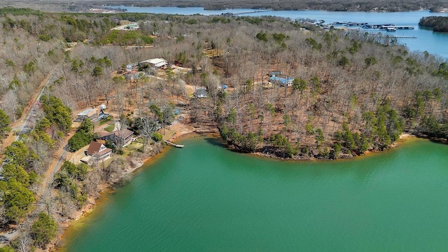 aerial view featuring a water view and a view of trees