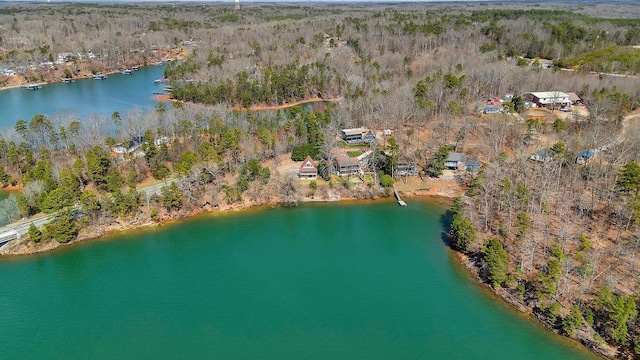 drone / aerial view featuring a water view and a view of trees