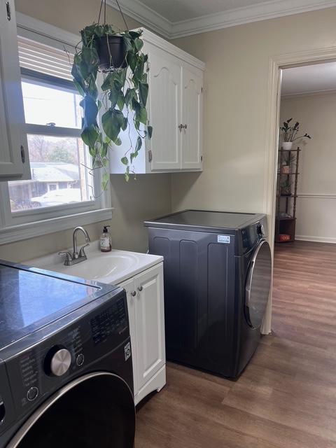 laundry area featuring cabinet space, crown molding, a sink, and wood finished floors