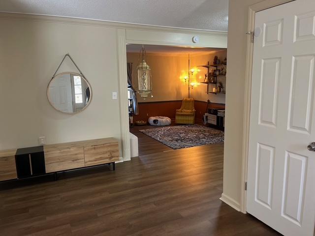 corridor featuring dark wood-style floors, a textured ceiling, and crown molding