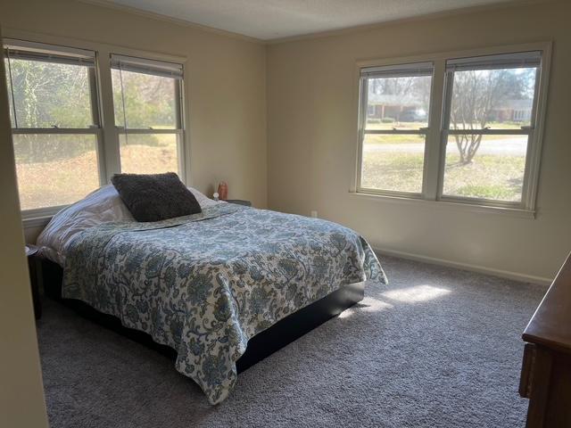 bedroom with ornamental molding, carpet flooring, baseboards, and multiple windows