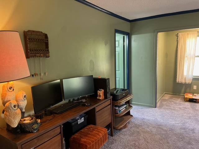 office with baseboards, a textured ceiling, ornamental molding, and carpet flooring