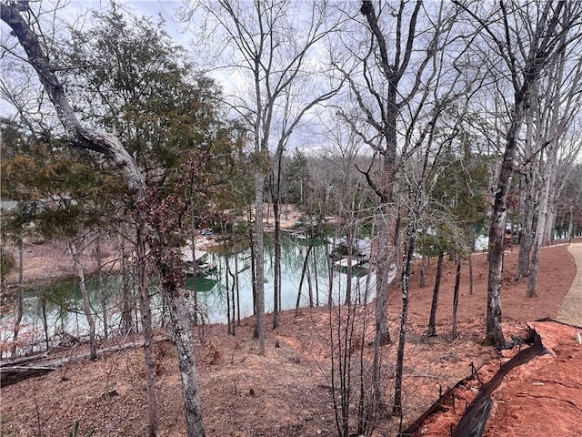 view of water feature