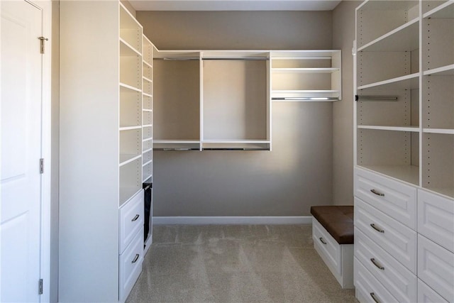 spacious closet with light colored carpet