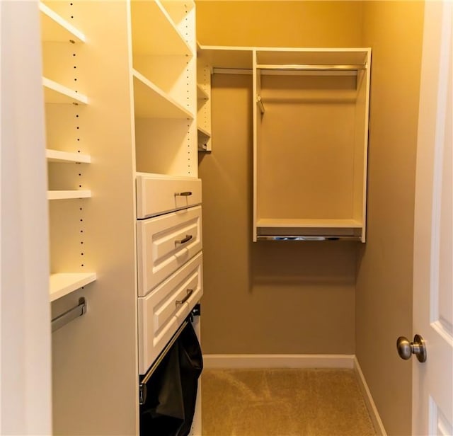 spacious closet with carpet flooring