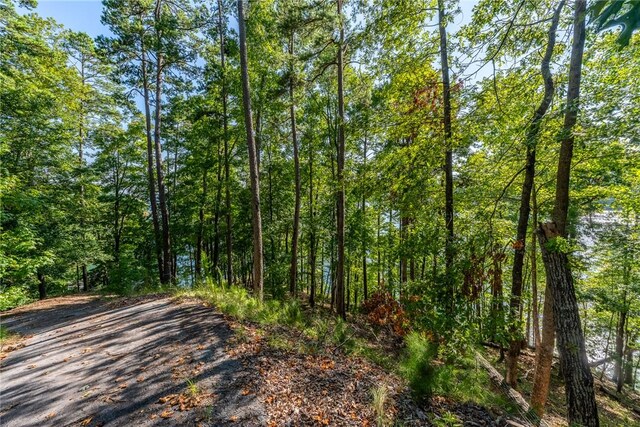 107 S Turtle Rock Rd, Sunset, SC 29685