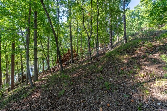 107 S Turtle Rock Rd, Sunset, SC 29685