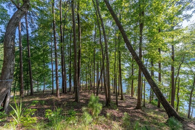 107 S Turtle Rock Rd, Sunset, SC 29685
