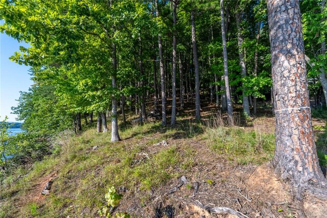 107 S Turtle Rock Rd, Sunset, SC 29685