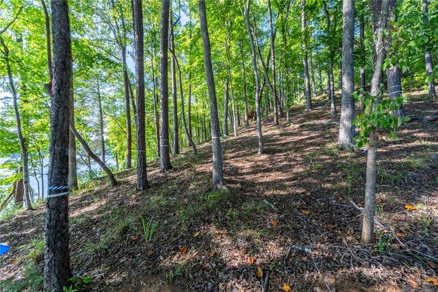 107 S Turtle Rock Rd, Sunset, SC 29685