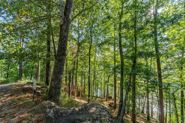 107 S Turtle Rock Rd, Sunset, SC 29685