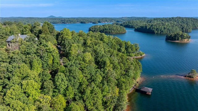107 S Turtle Rock Rd, Sunset, SC 29685