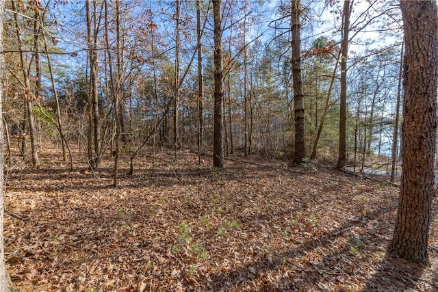 LOT46 Princess Tree Way, Sunset SC, 29685 land for sale