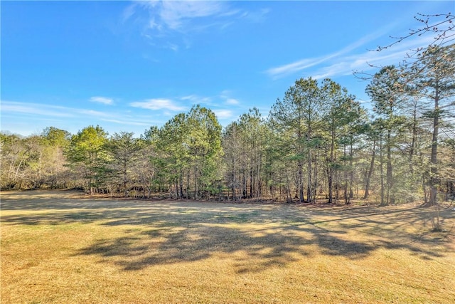 view of yard featuring a view of trees