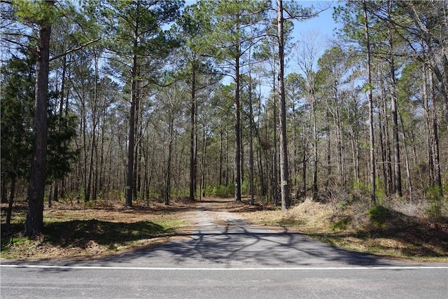 view of road with a wooded view