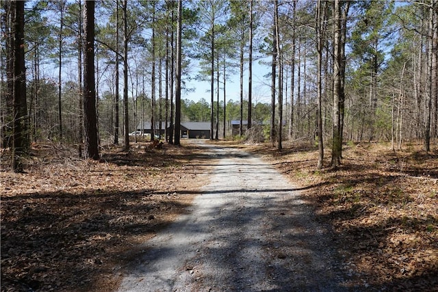 view of street with a forest view and driveway